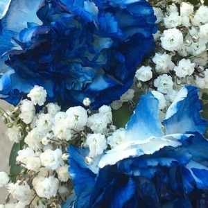 Meet your Posher, Ashlyn